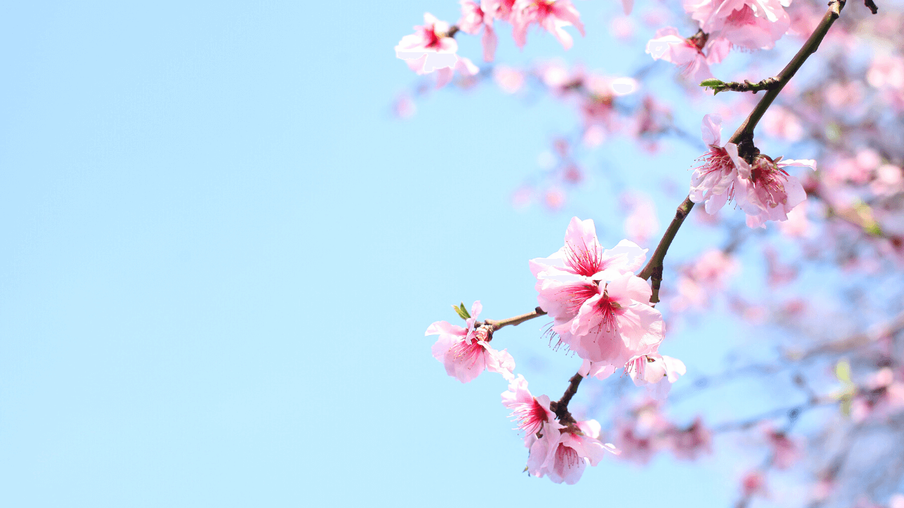 Di primavera, allergie e… denti!