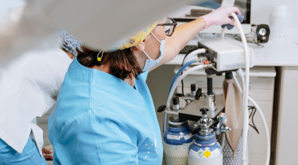 La Dott.ssa Zini mentre applica la sedazione con protossido d'azoto.