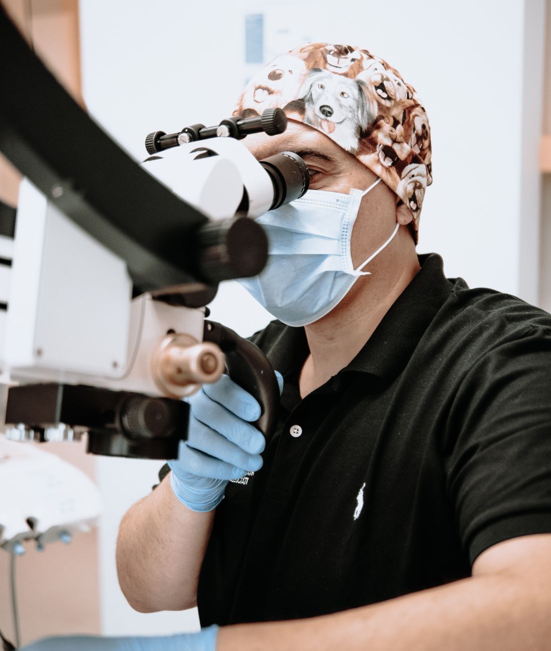 Il dott- Gavioli mentre guarda al microscopio